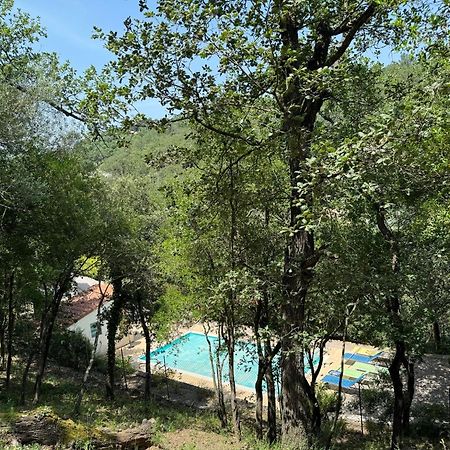 Maison Avec Piscine Chauffee Entre Mer Et Montagne Montauriol (Pyrenees-Orientales) Exterior foto